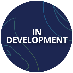 FSI - Product in Development